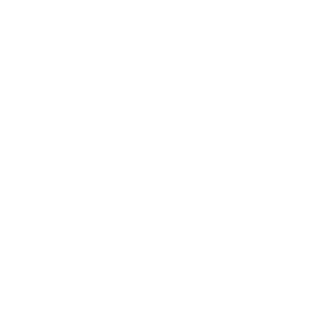 Fin Zen AI pricing icon
